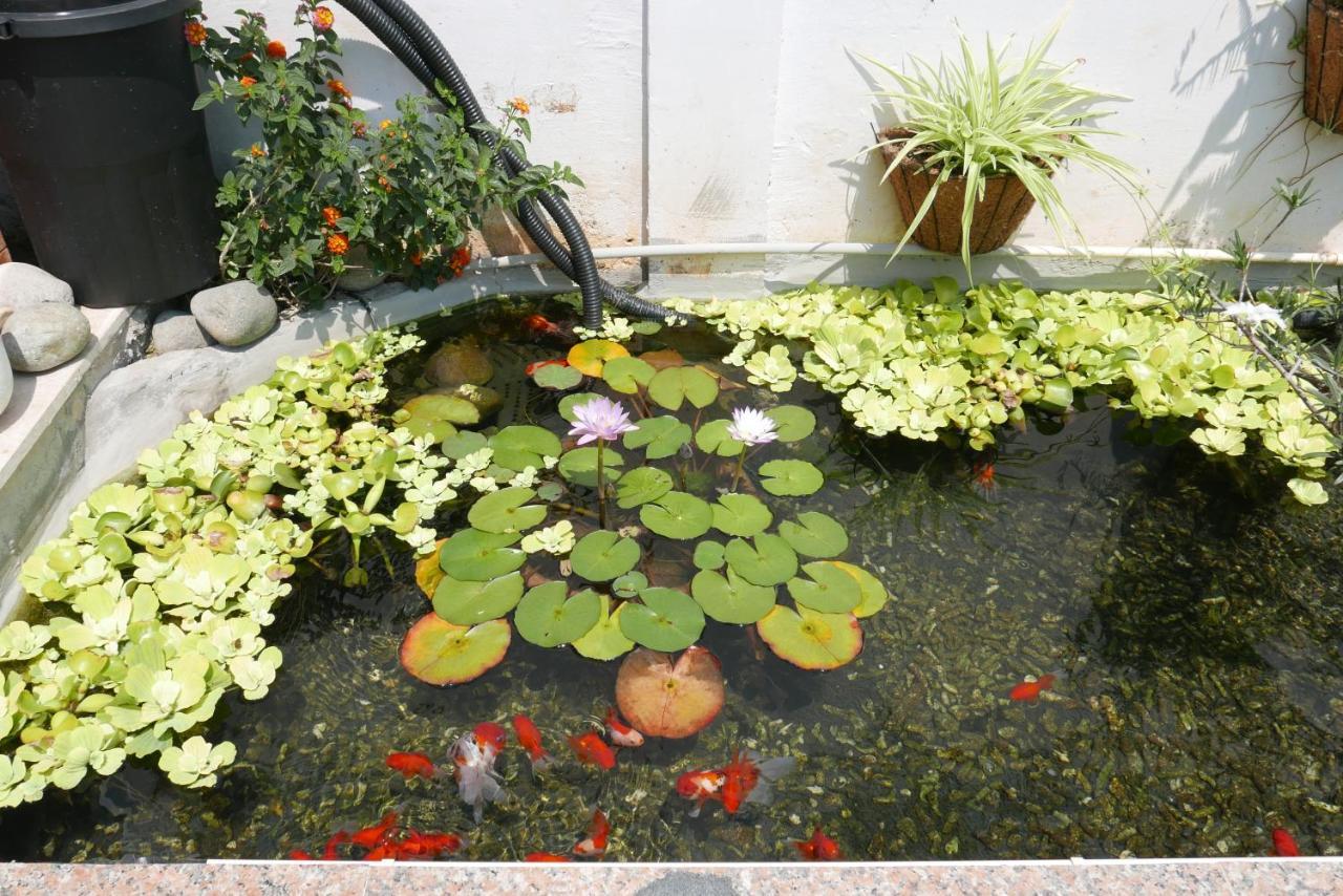 Song Anh Hotel Đà Lạt Ngoại thất bức ảnh